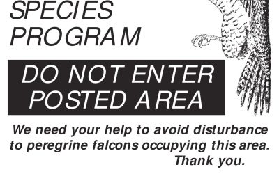 2023 Peregrine Falcon Closures