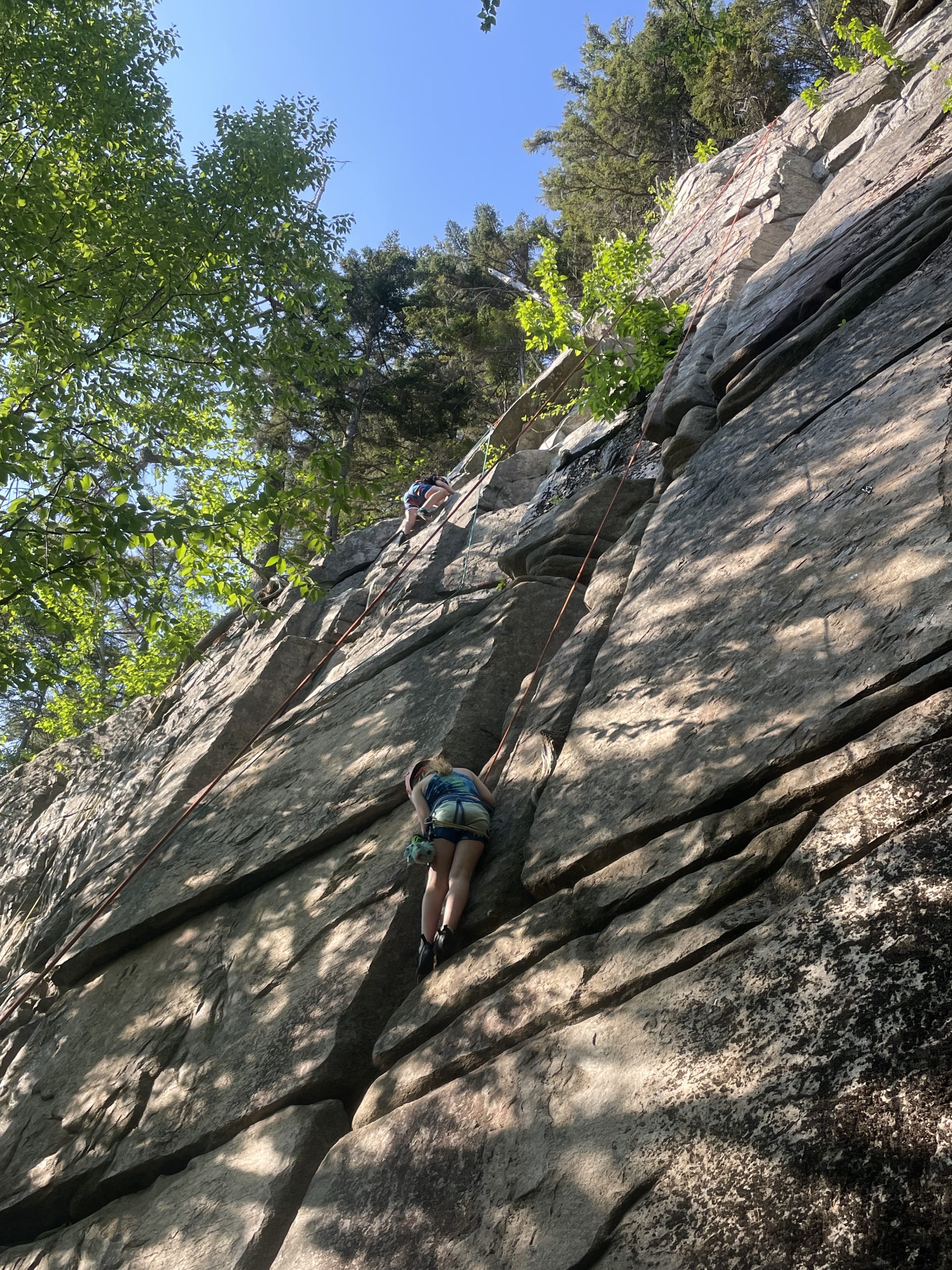 Youth Climbing Programs - North Country Climbing Center